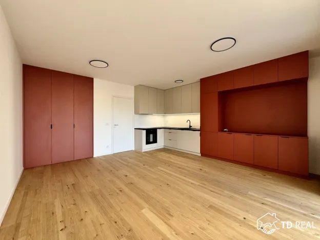 Pronájem bytu 1+kk, Brno, Bratislavská, 42 m2