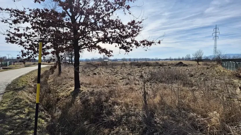 Prodej pozemku pro bydlení, Čejkovice, 1055 m2