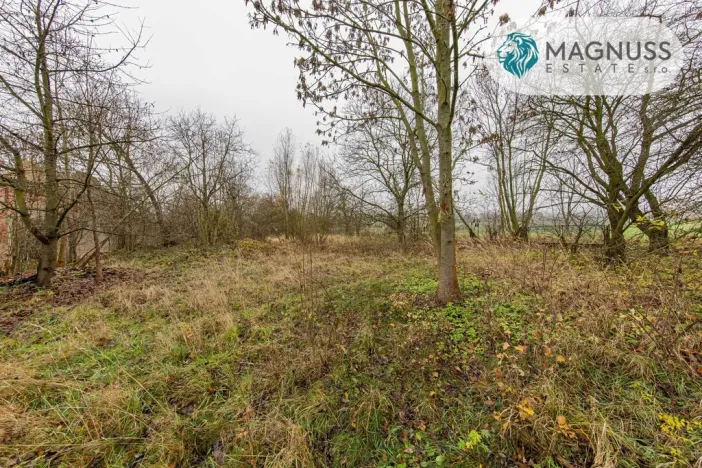 Prodej pozemku pro bydlení, Libina, 7132 m2