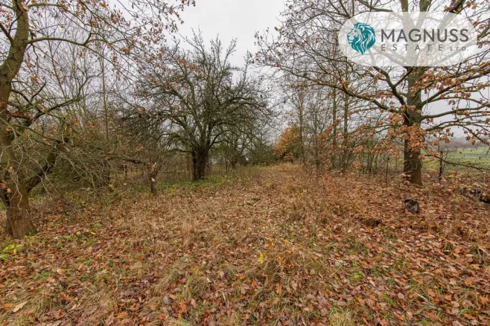 Prodej pozemku pro bydlení, Libina, 7132 m2