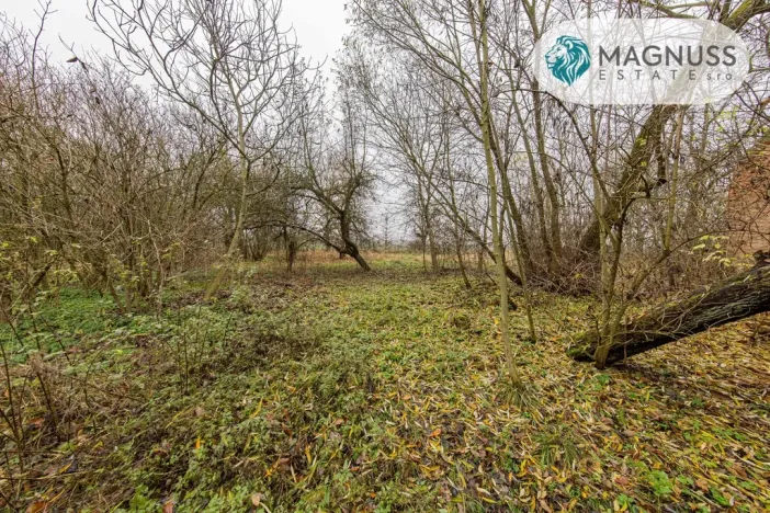 Prodej pozemku pro bydlení, Libina, 7132 m2