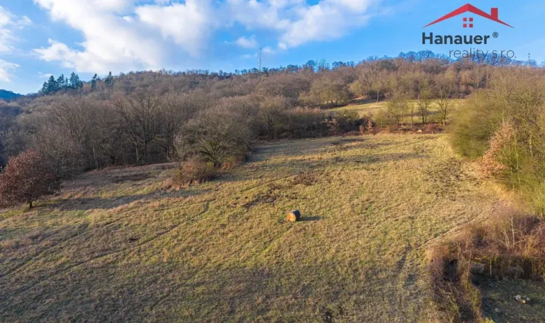 Prodej pozemku pro bydlení, Ústí nad Labem - Krásné Březno, Neštěmická, 11413 m2