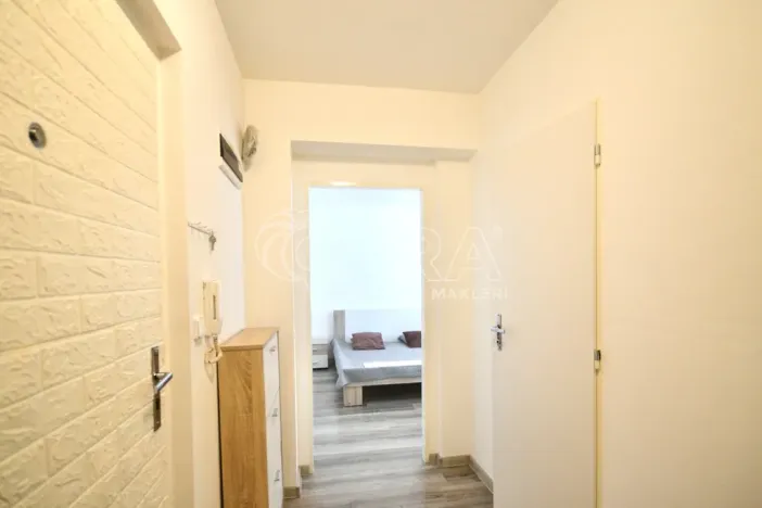 Prodej bytu 1+1, Milovice - Mladá, Višňová, 42 m2