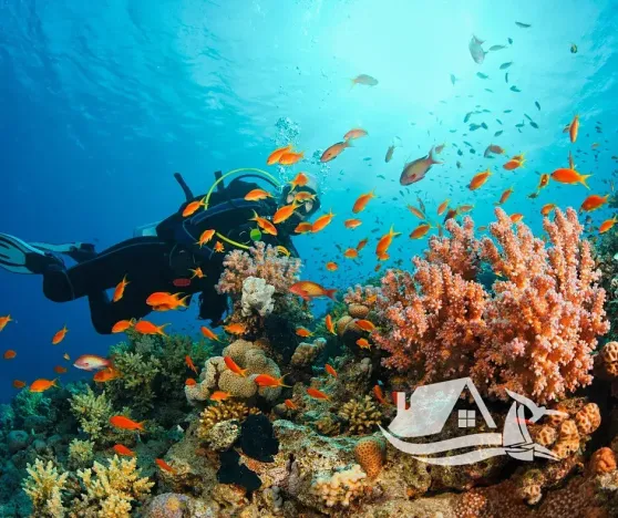 Prodej bytu 2+kk, Pattaya, Thajsko, 36 m2