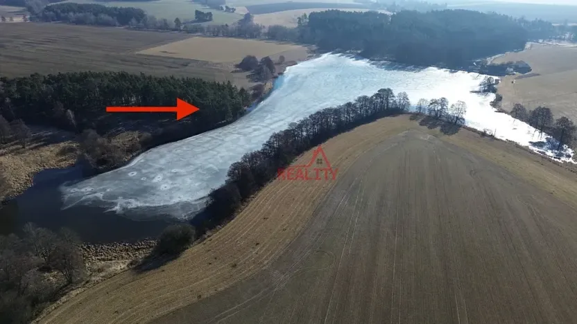 Prodej lesa, Čistá, 1294 m2