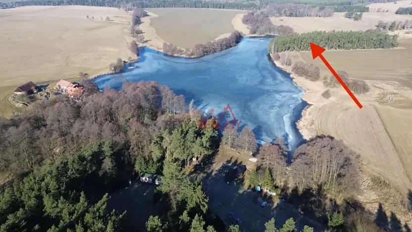 Prodej lesa, Čistá, 1294 m2