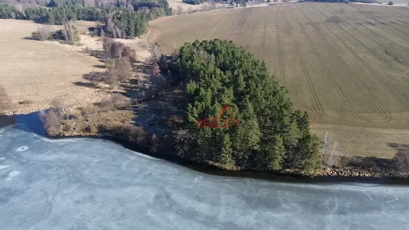 Prodej lesa, Čistá, 1294 m2