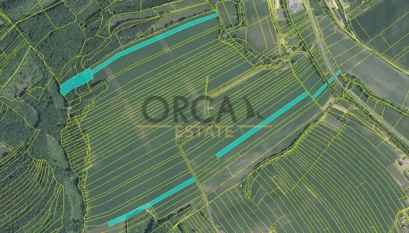 Prodej pole, Horní Lhota, 49957 m2