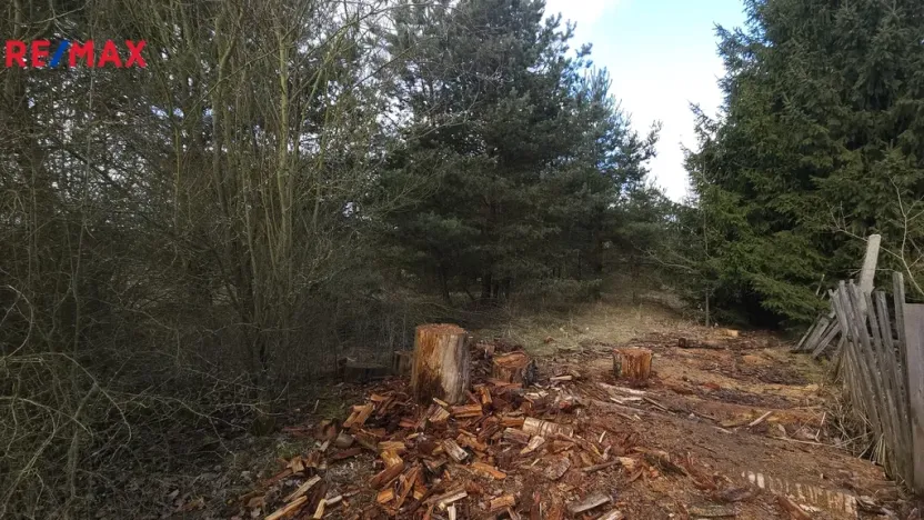 Prodej pozemku pro bydlení, Olešná, 654 m2