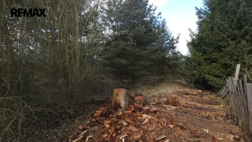 Prodej pozemku pro bydlení, Olešná, 654 m2