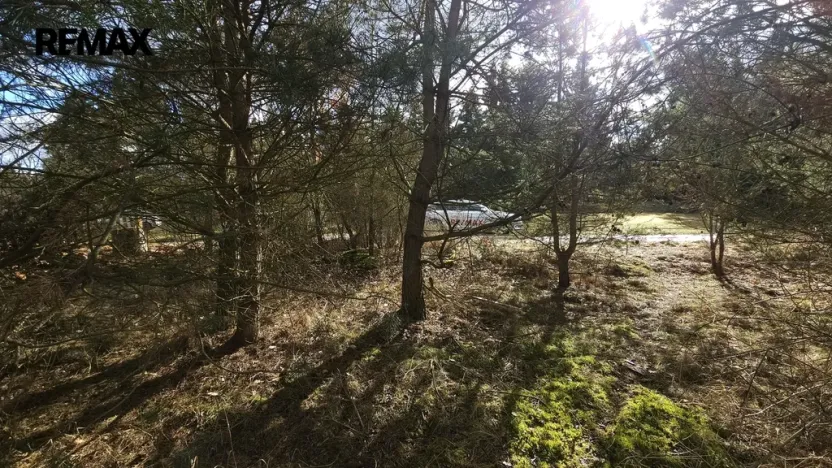 Prodej pozemku pro bydlení, Olešná, 654 m2