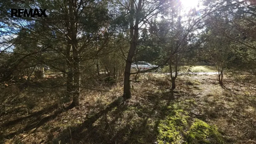 Prodej pozemku pro bydlení, Olešná, 654 m2