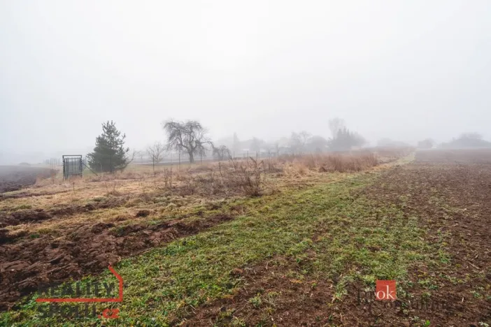 Prodej pozemku pro bydlení, Olešná, 2187 m2