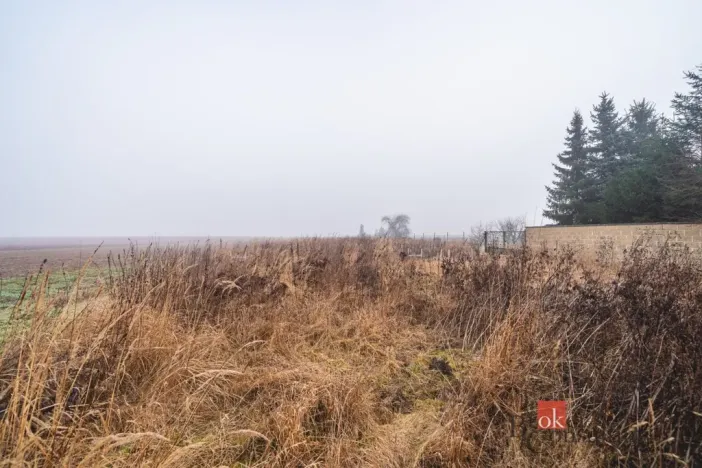 Prodej pozemku pro bydlení, Olešná, 2187 m2