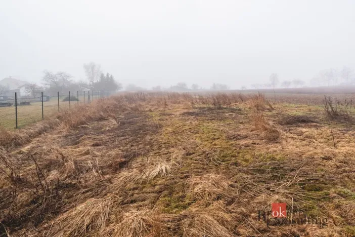 Prodej pozemku pro bydlení, Olešná, 2187 m2