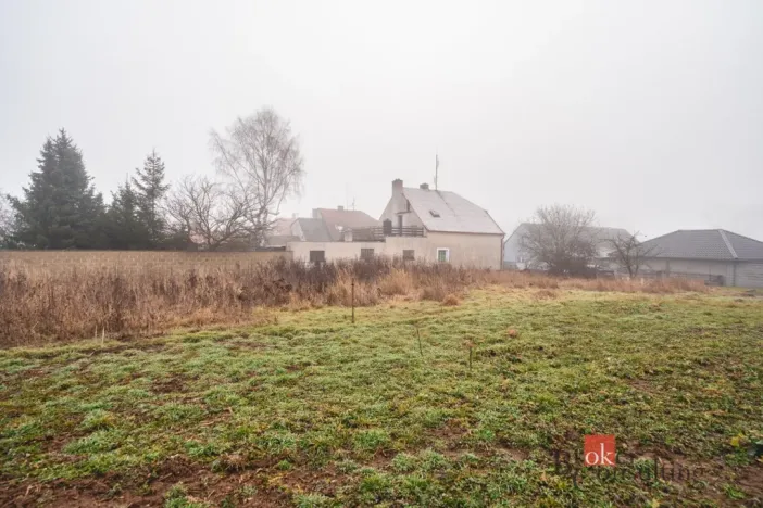 Prodej pozemku pro bydlení, Olešná, 2187 m2