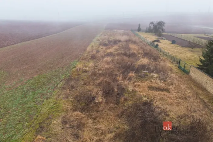 Prodej pozemku pro bydlení, Olešná, 2187 m2