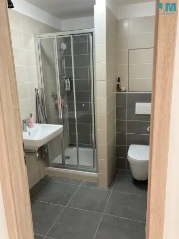 Pronájem bytu 1+kk, Brno, Vranovská, 29 m2