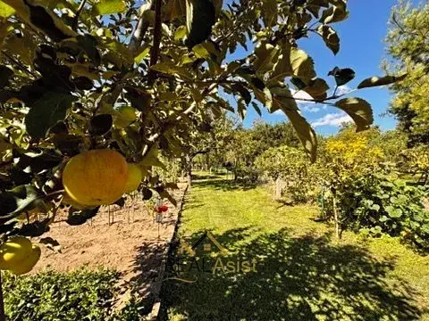 Prodej rodinného domu, Rajhrad, Ostrůvek, 95 m2