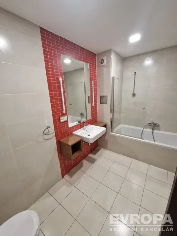 Pronájem bytu 2+kk, Plzeň - Jižní Předměstí, U Borského parku, 52 m2