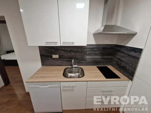 Pronájem bytu 2+kk, Plzeň - Jižní Předměstí, U Borského parku, 52 m2