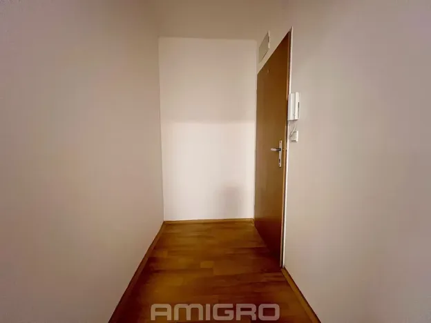 Pronájem bytu 2+kk, Brno, Reissigova, 47 m2