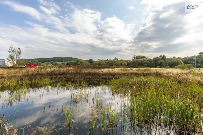 Prodej výrobních prostor, Příbram - Příbram I, Dělostřelecká, 2099 m2