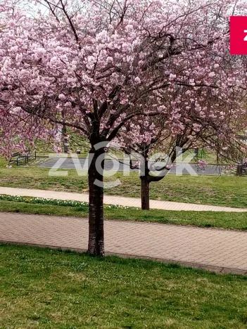 Prodej bytu 1+kk, Zlín, Podlesí V, 30 m2