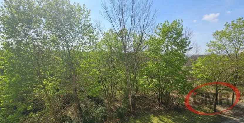 Pronájem bytu 2+kk, Praha, Hnězdenská, 54 m2