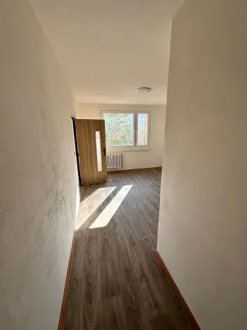 Pronájem bytu 1+1, Děčín, Na Pěšině, 36 m2