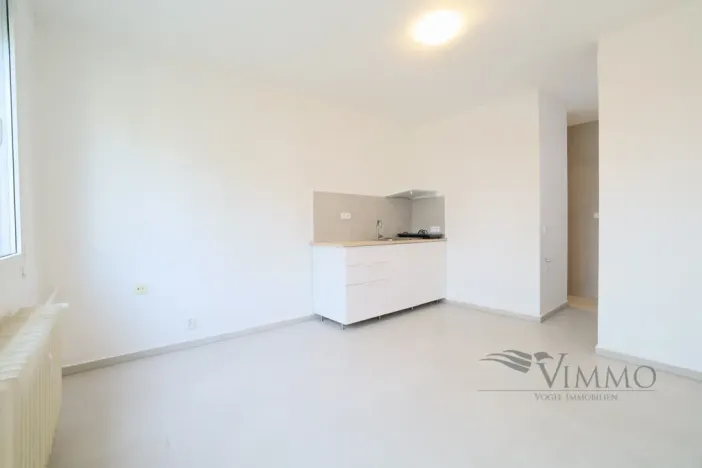 Pronájem bytu 1+kk, České Budějovice - České Budějovice 3, Plzeňská, 20 m2