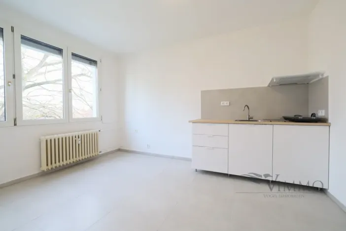 Pronájem bytu 1+kk, České Budějovice - České Budějovice 3, Plzeňská, 20 m2