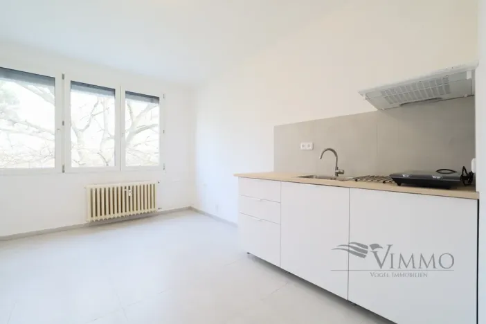 Pronájem bytu 1+kk, České Budějovice - České Budějovice 3, Plzeňská, 20 m2