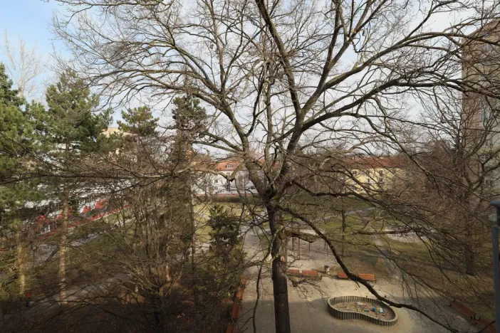 Pronájem bytu 1+kk, České Budějovice - České Budějovice 3, Plzeňská, 20 m2