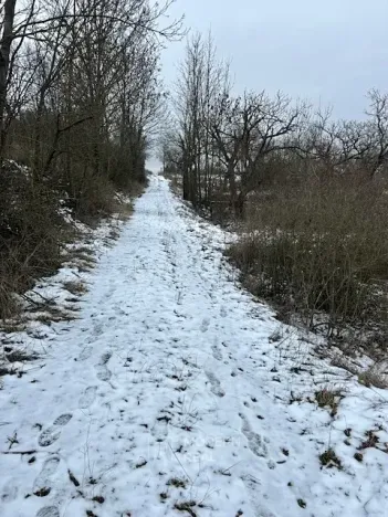 Prodej zahrady, Hustopeče, 4050 m2