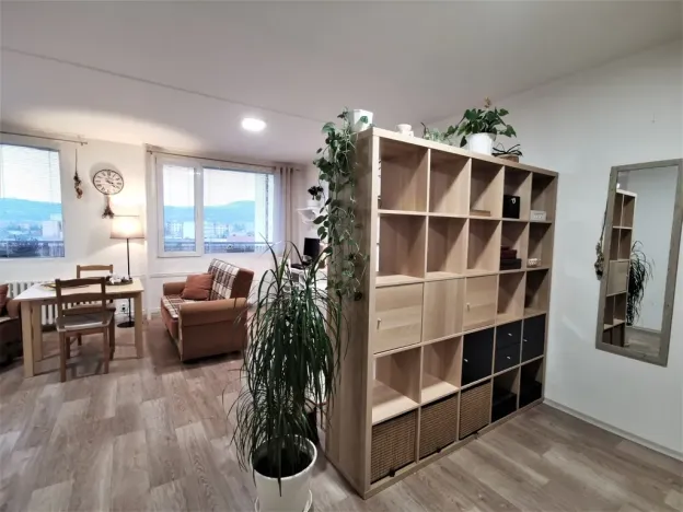 Pronájem bytu 1+kk, Litoměřice - Předměstí, Revoluční, 35 m2