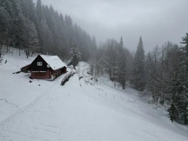 Prodej chalupy, Malá Úpa - Dolní Malá Úpa, 110 m2