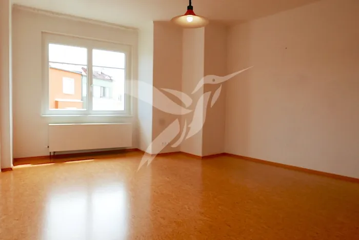 Pronájem bytu 1+1, Plzeň, Jiráskovo náměstí, 47 m2