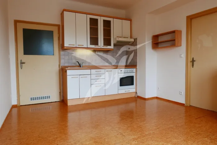 Pronájem bytu 1+1, Plzeň, Jiráskovo náměstí, 47 m2