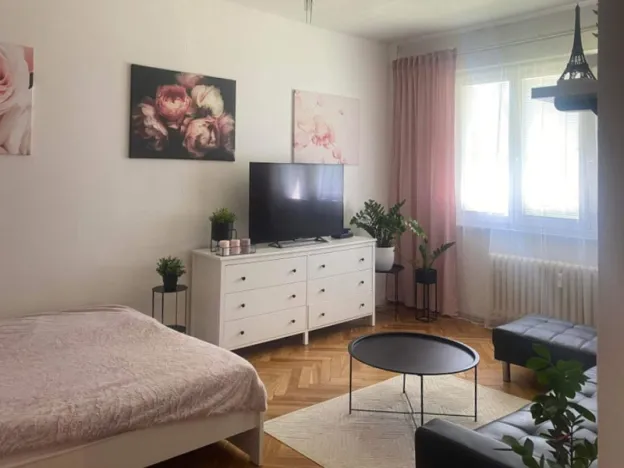 Pronájem bytu 1+1, Šumperk, 8. května, 34 m2