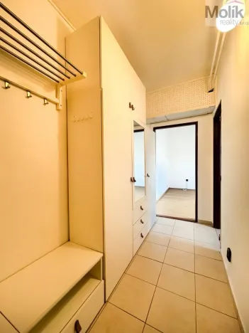 Pronájem bytu 1+1, Ústí nad Labem - Střekov, Tolstého, 33 m2