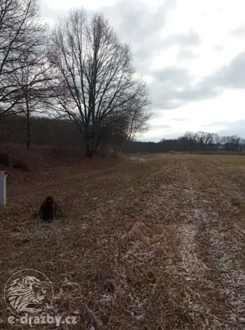 Dražba pozemku, Janovice nad Úhlavou, 4609 m2