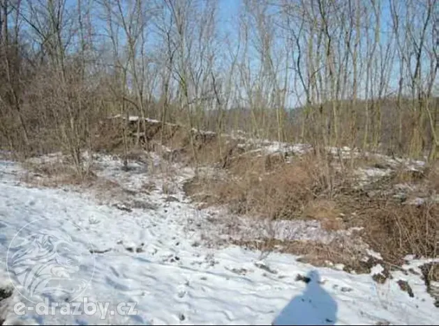 Dražba pozemku, Niměřice, 1982 m2