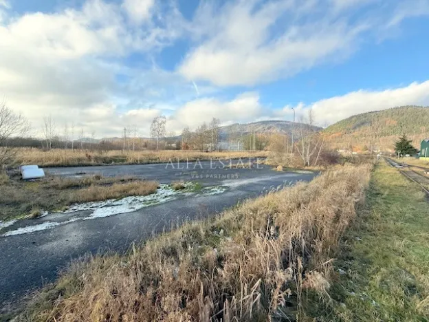 Prodej komerčního pozemku, Hroznětín, Nádražní, 7451 m2
