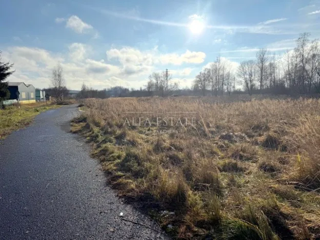 Prodej komerčního pozemku, Hroznětín, Nádražní, 7451 m2