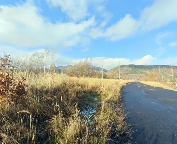 Prodej komerčního pozemku, Hroznětín, Nádražní, 3460 m2