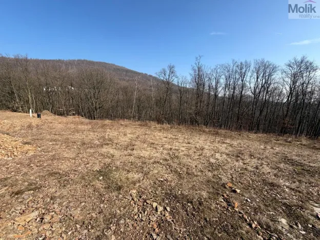 Prodej pozemku pro bydlení, Lom - Loučná, Tyršova stezka, 2648 m2