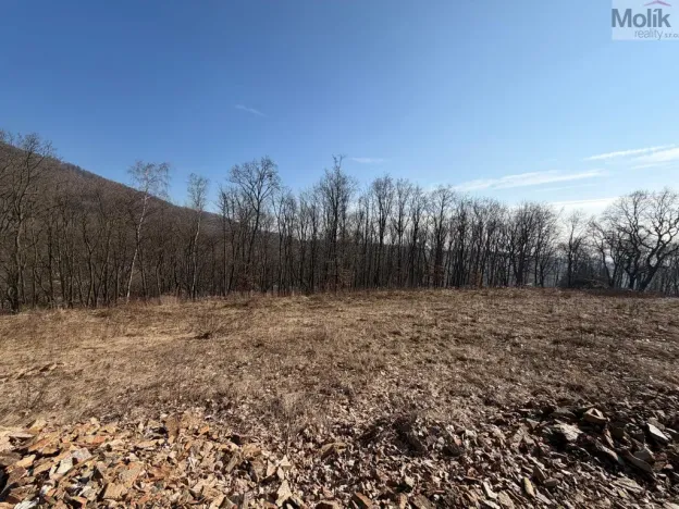 Prodej pozemku pro bydlení, Lom - Loučná, Tyršova stezka, 2648 m2