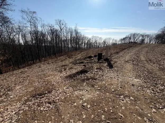 Prodej pozemku pro bydlení, Lom - Loučná, Tyršova stezka, 2648 m2