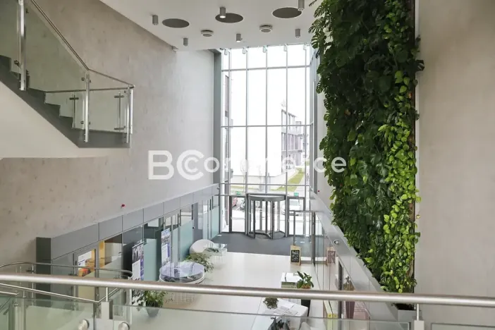 Pronájem kanceláře, Brno, 600 m2